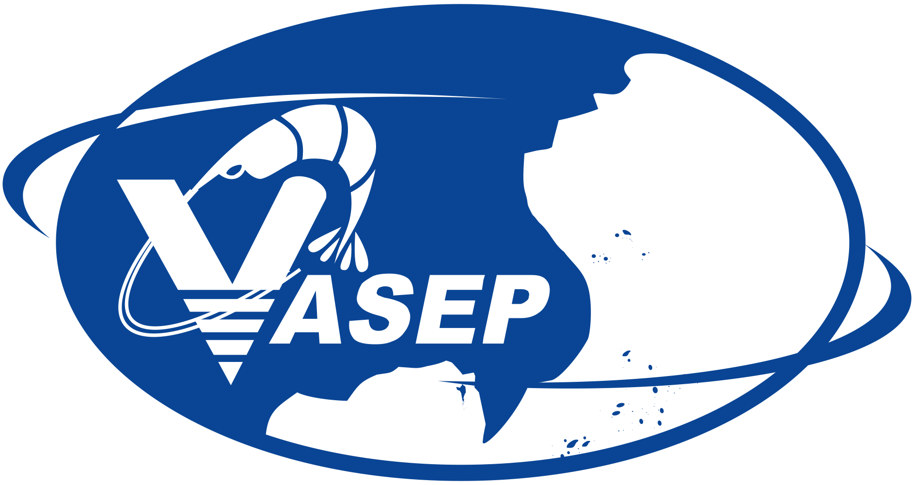 Logo VASEP