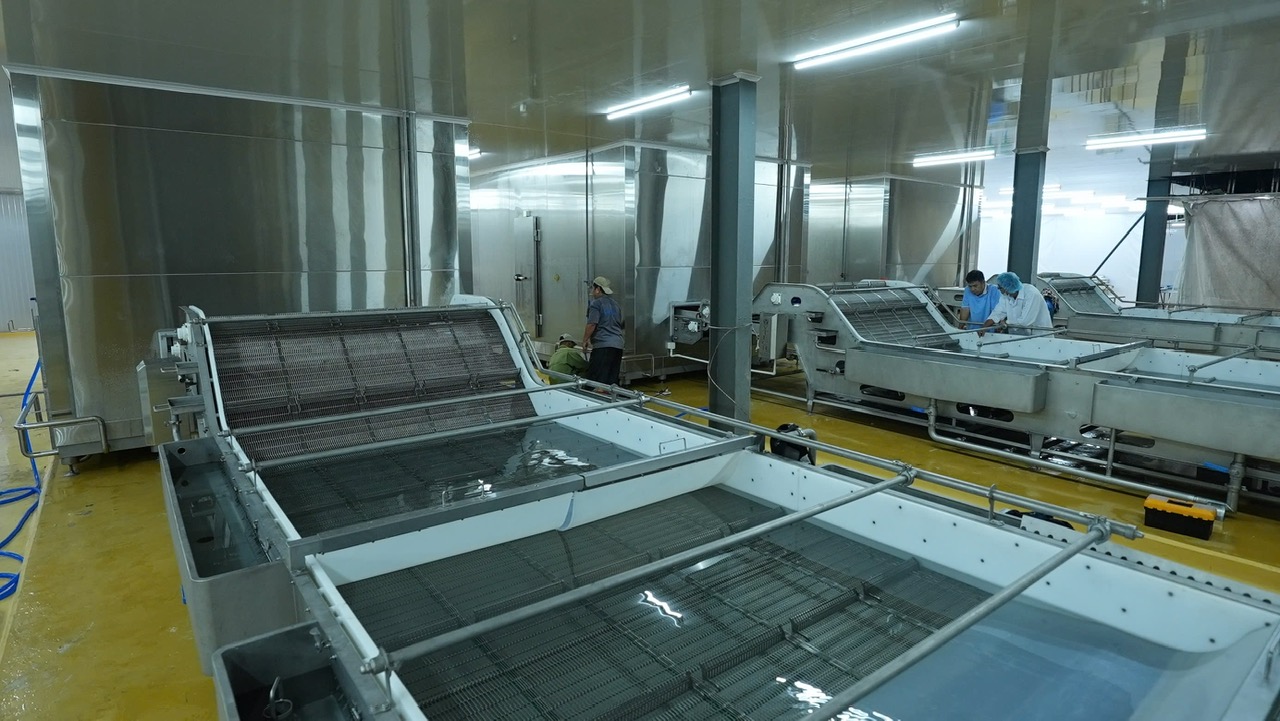 YTECH – Giải pháp thiết bị và tự động hóa cho chế biến tôm, cá và thủy sản